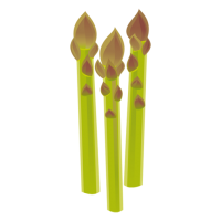 Spargel